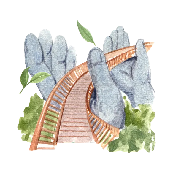 Troogue hero illustration